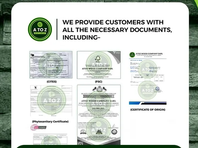 slide 7