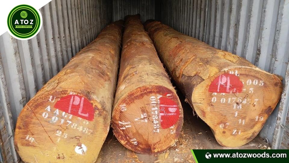 azobe logs