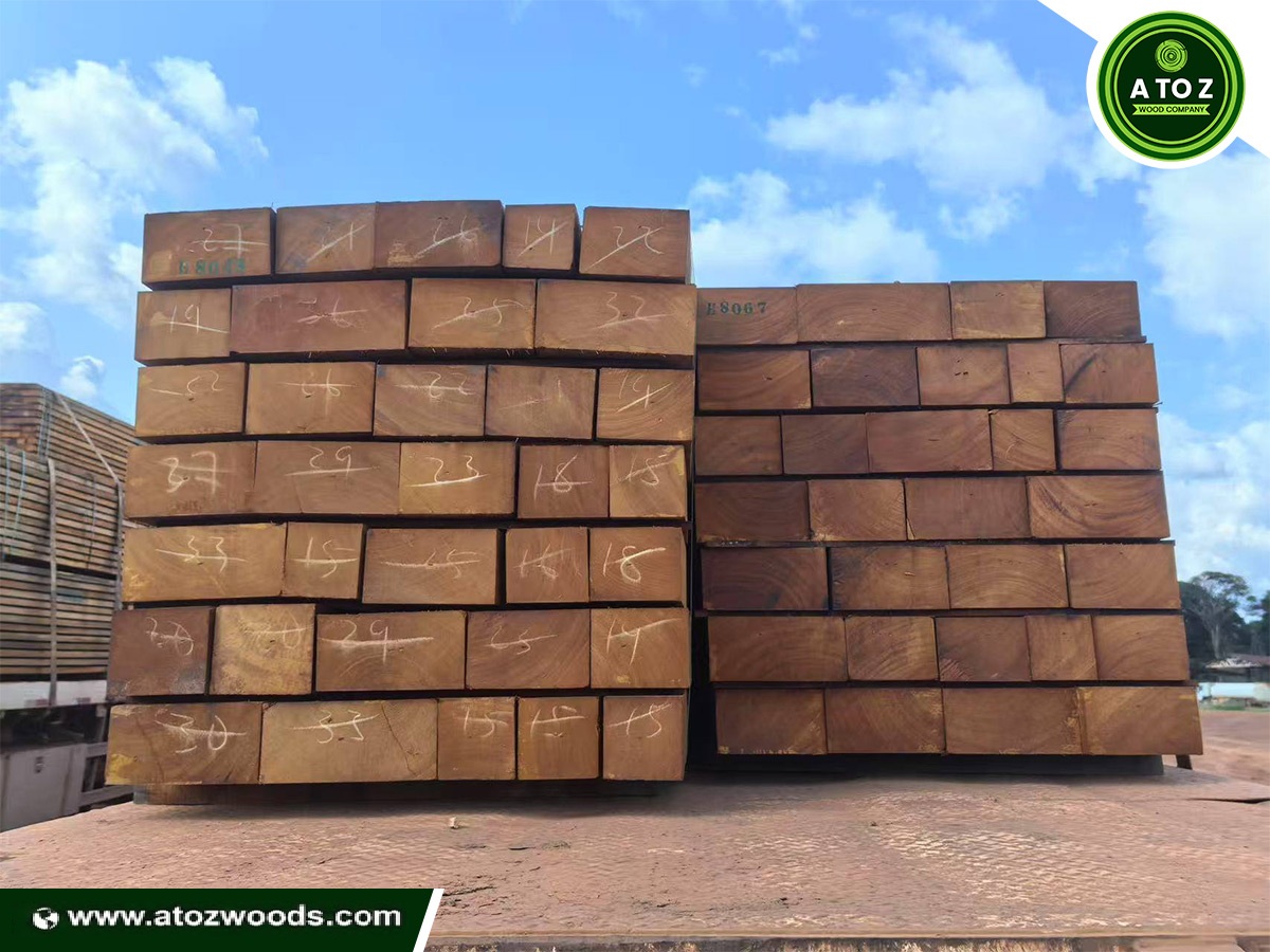 bilinga timber for sale