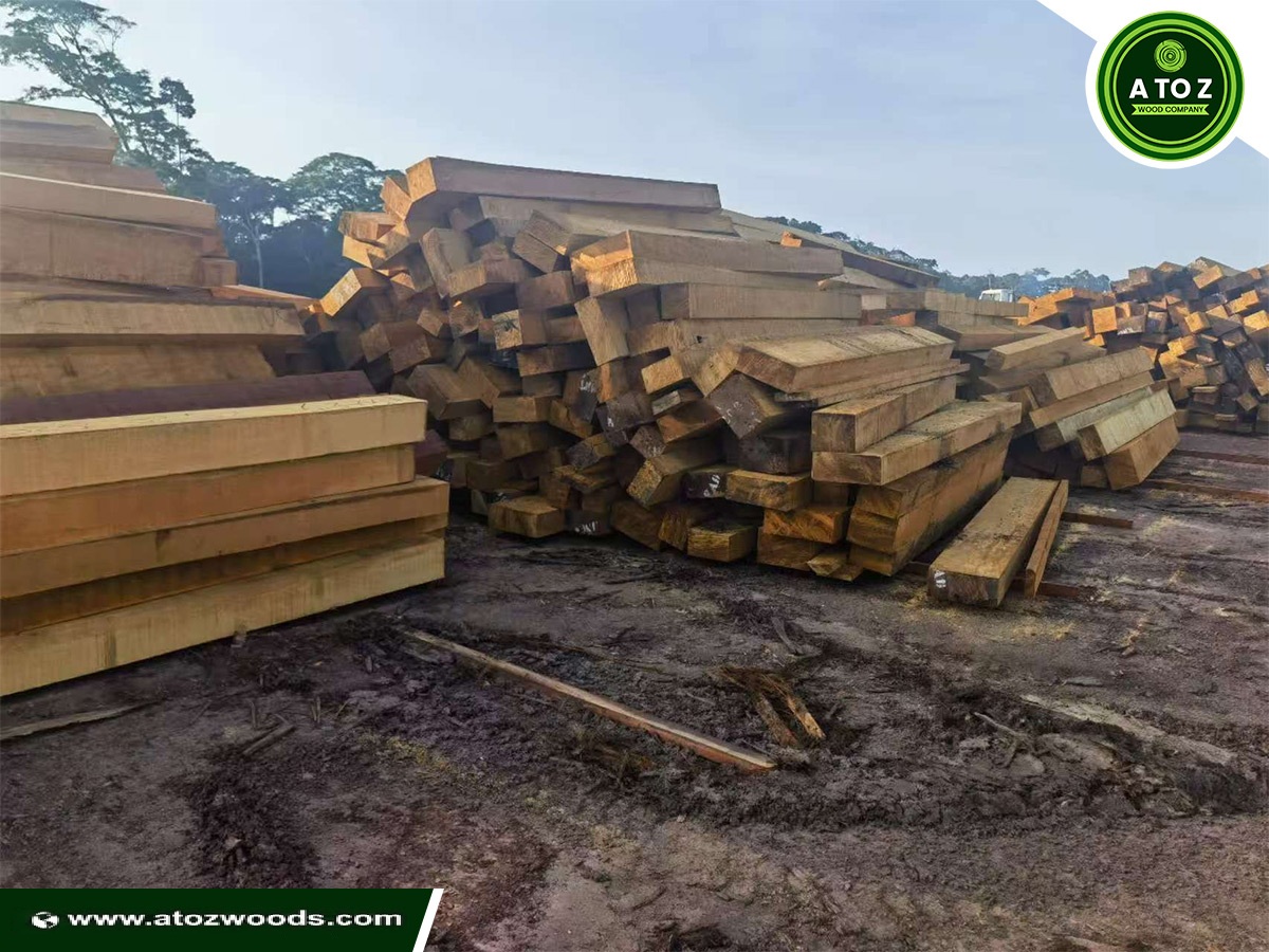bilinga timber supplier
