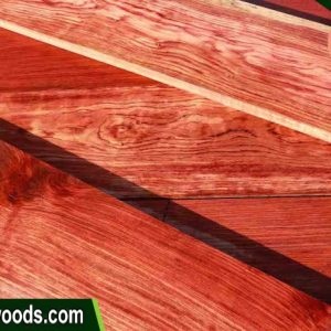 bubinga timber for sale