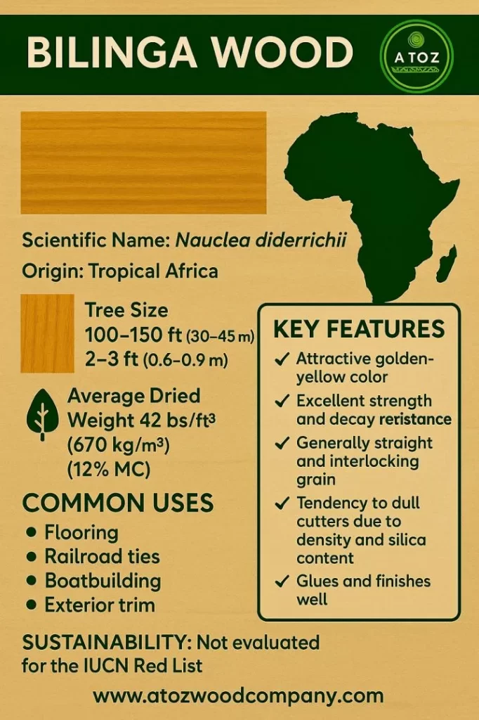 bilinga wood properties and uses