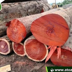 padauk wood logs for sale