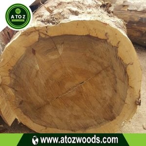 black limba wood logs
