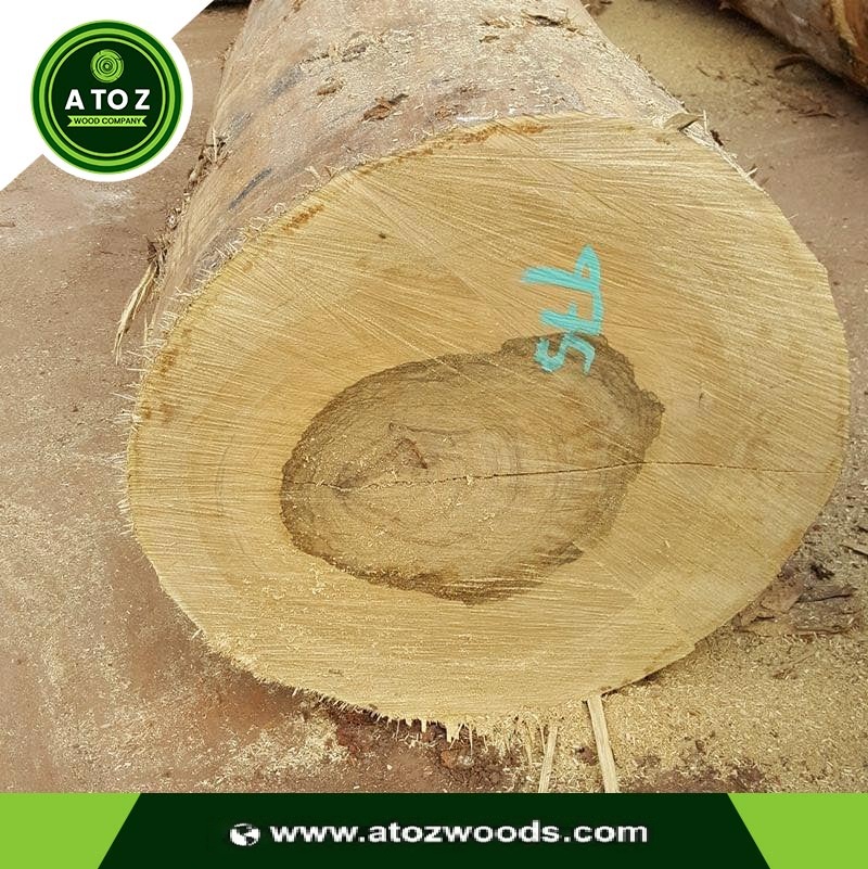 Black-Limba-5 black limba wood log