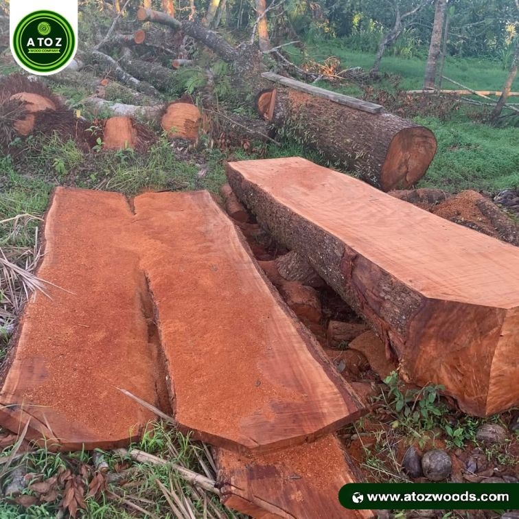 mahogany wood slabs