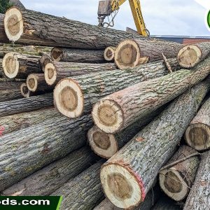 Premium Poplar Wood – Buy in Bulk & Save More