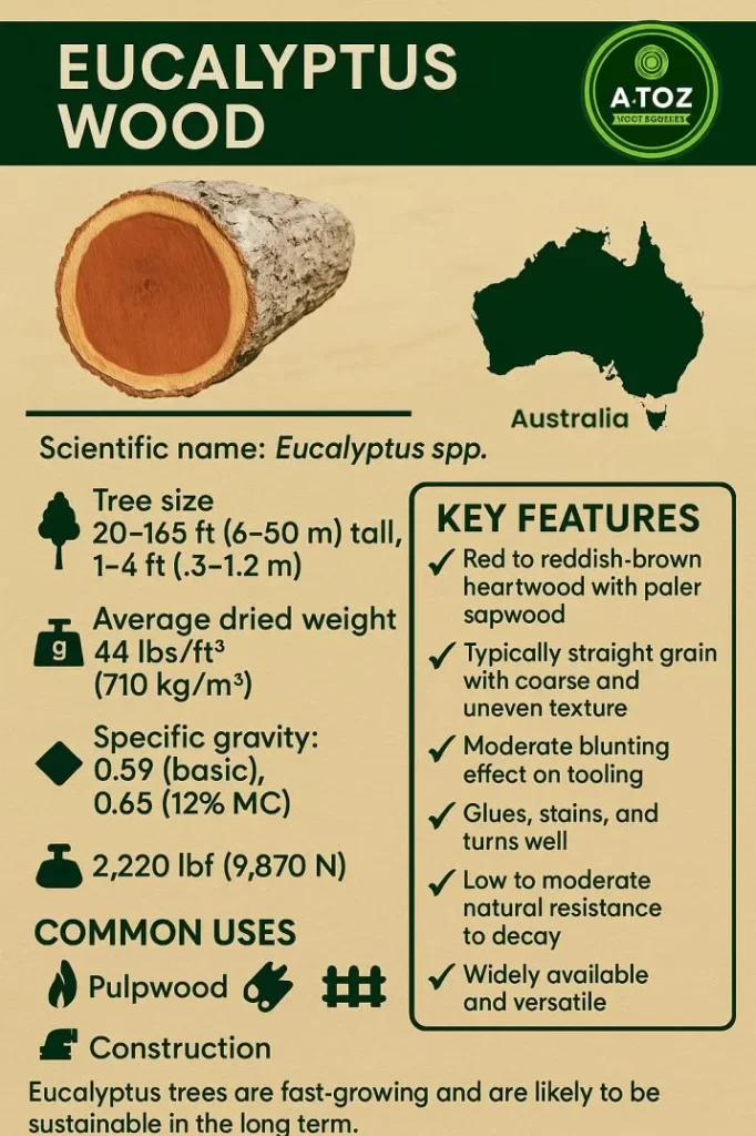 Eucalyptus wood features and specifications