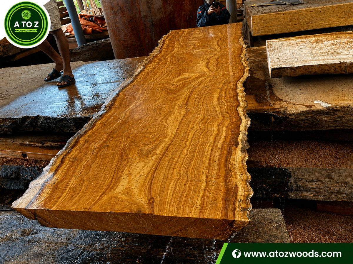 Pachyloba-wood-slabs pachyloba slabs supplier