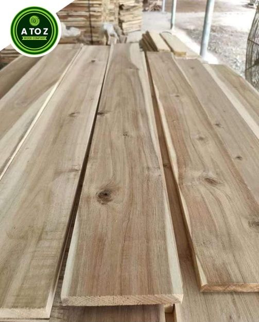 Acacia timber exporter