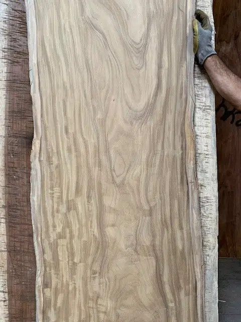 Afromosia Wood Slabs Afromosia Wood Slabs