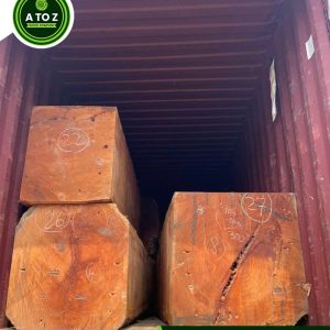 pachyloba wood logs