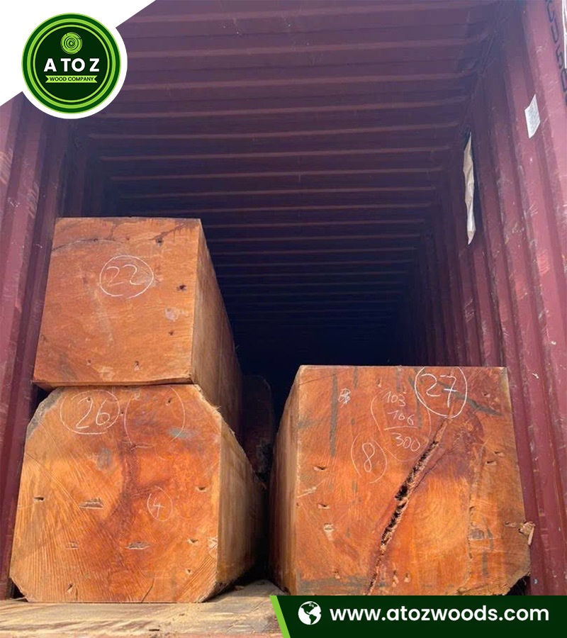 pachyloba wood logs