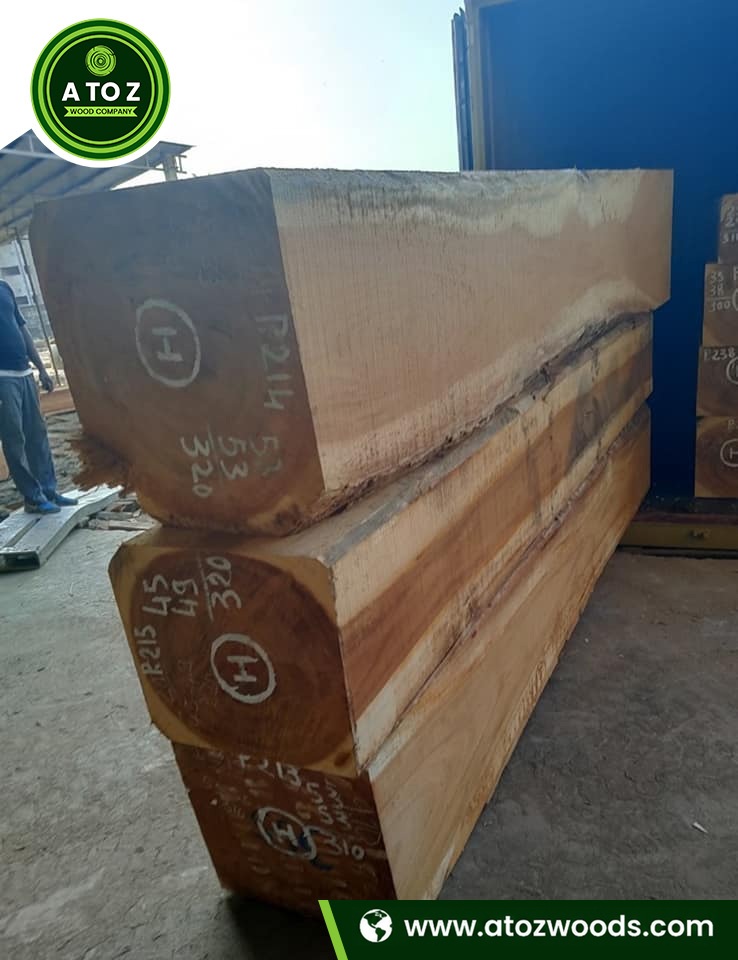Pachyloba-log-exporter Pachyloba logs supplier