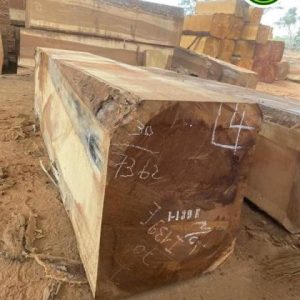iroko wood log