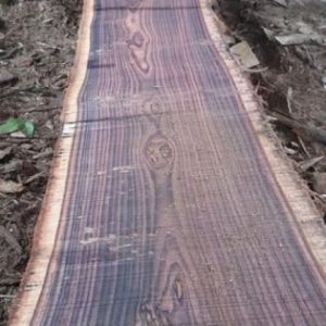 rosewood slab
