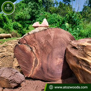 rosewood log