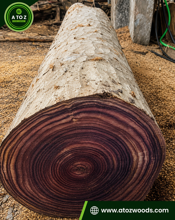 rosewood log for sale