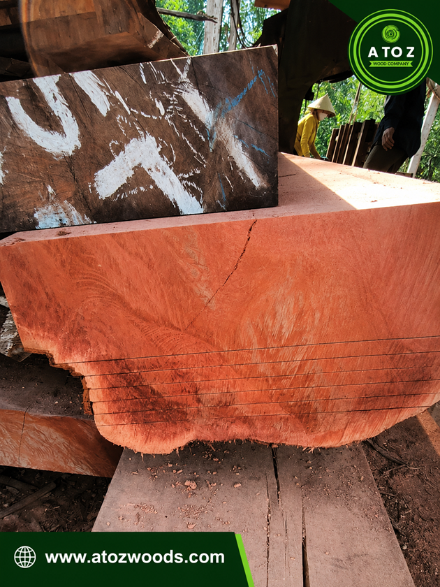red-meranti supplier