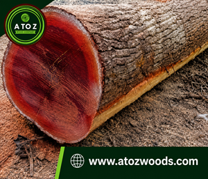 redwood logs for sale