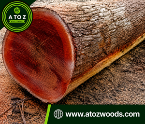 redwood logs for sale