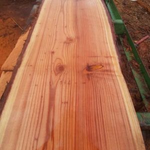 redwood slab