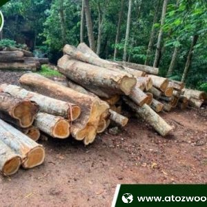 Afromosia Wood