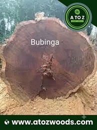 Buninga bubinga wood