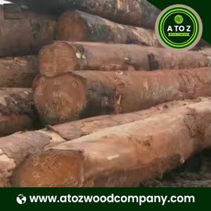 bubinga wood for sale
