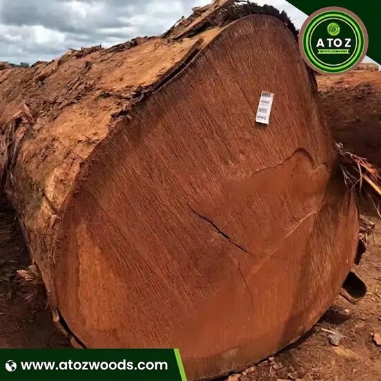 Buninga bubinga wood supplier