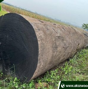 dabema for sale