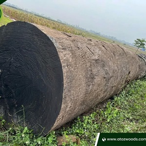 dabema for sale