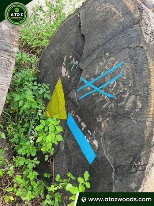 dabema wood logs