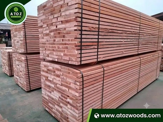 sapele timber supplier