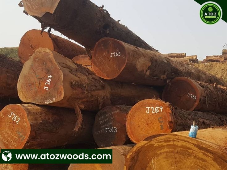 tali wood logs