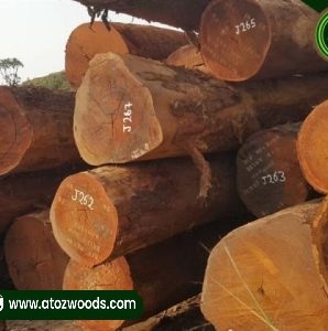 tali wood logs