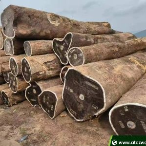 Wenge Wood