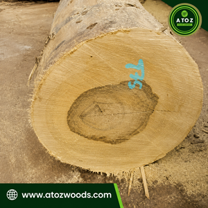 ayous logs