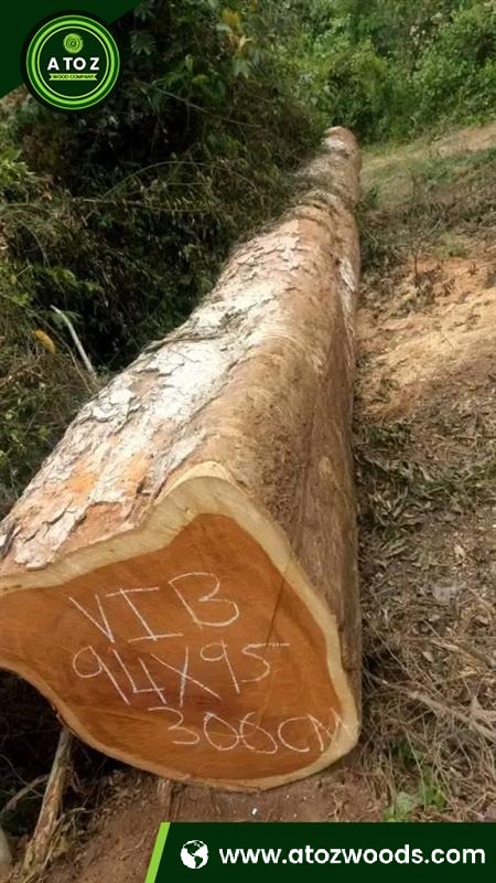 doussie wood logs