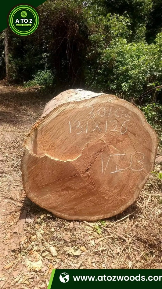 doussie wood logs