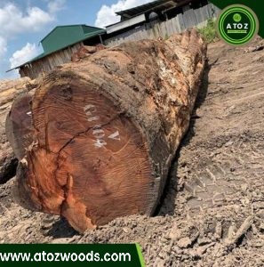 mahogany wood logs supplier