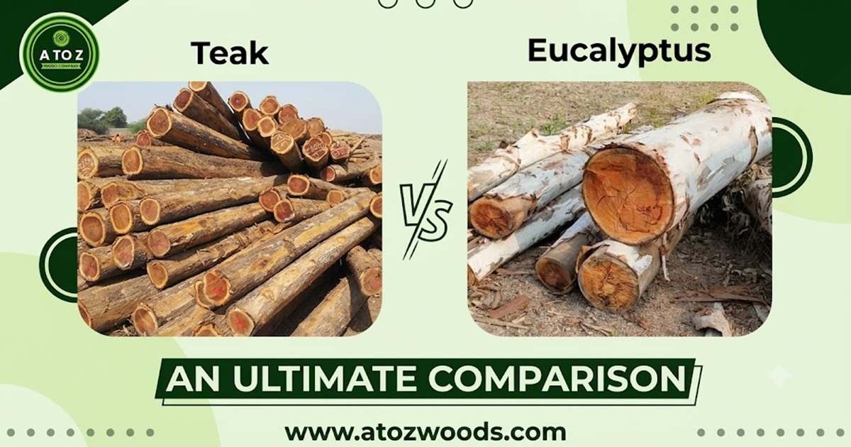 teak vs eucalyptus wood comparison