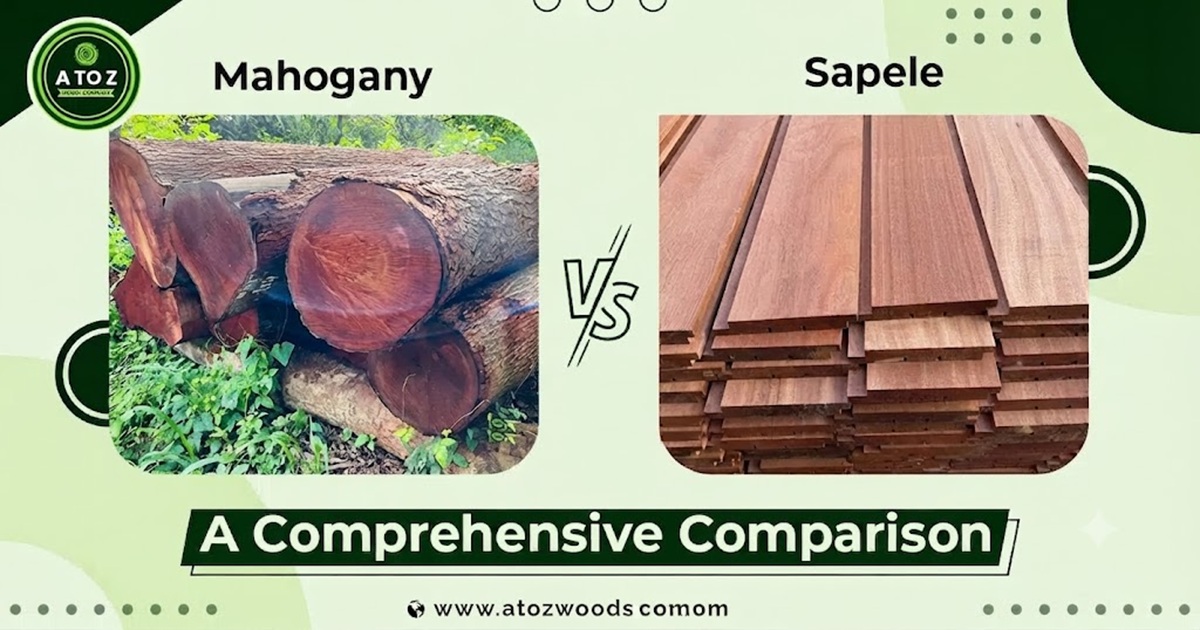 mahogany vs sapele