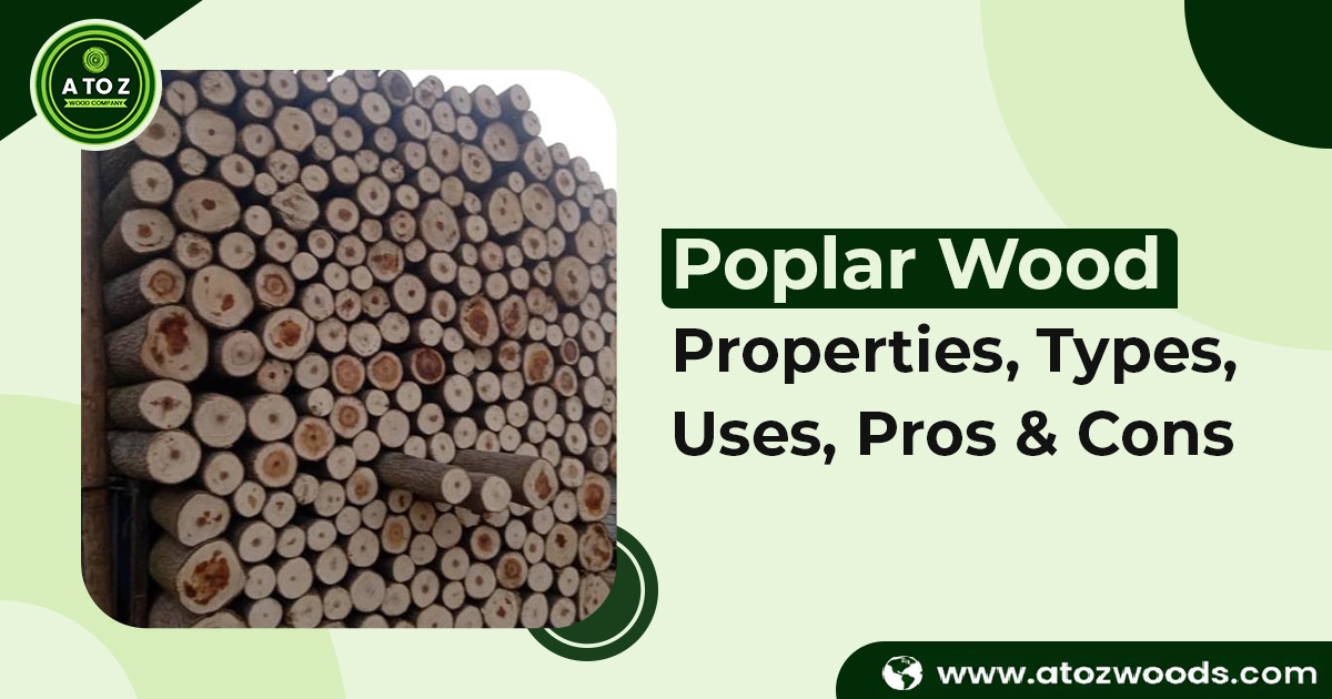 poplar wood properties, types and uses