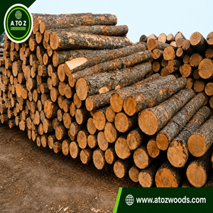 pine logs for sale