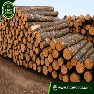 pine logs for sale