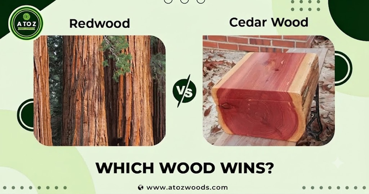 redwood vs cedar
