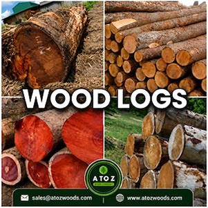 Wood Log