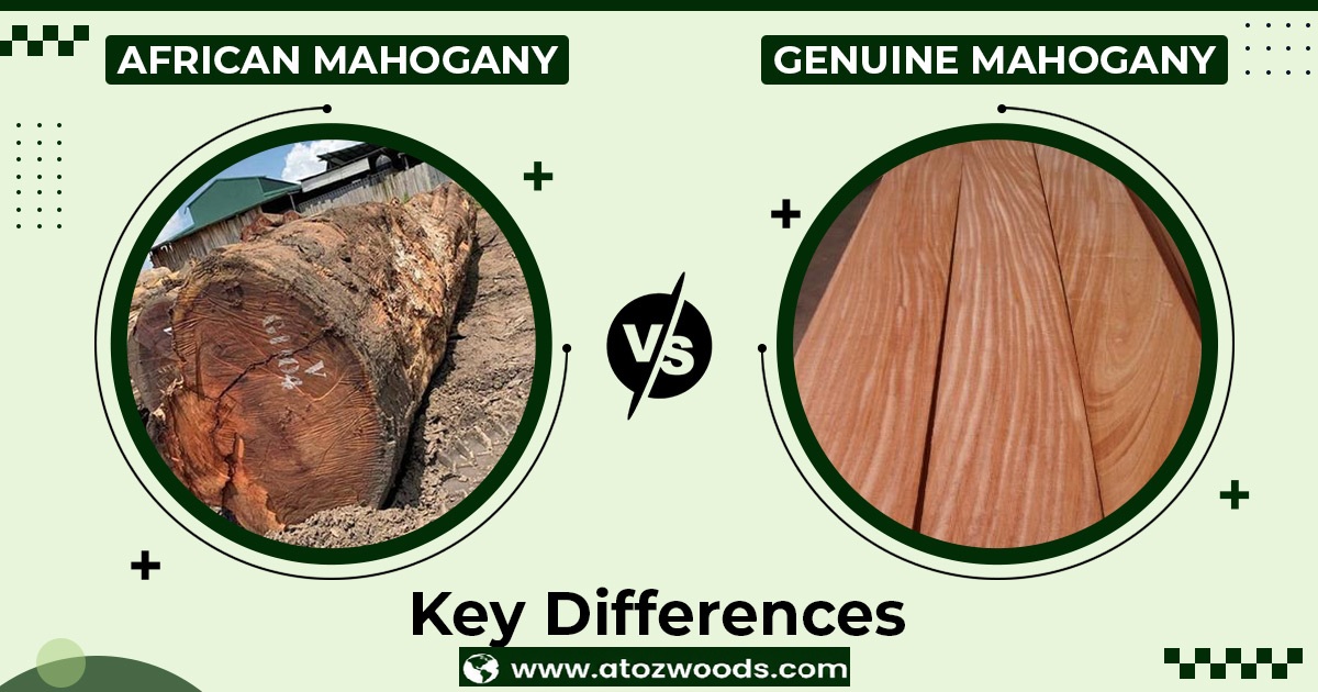 african mahogany vs genuine mahogany
