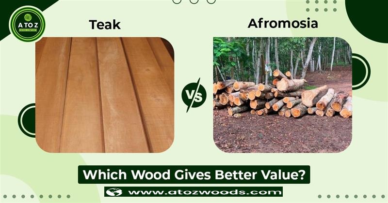 teak vs afromosia